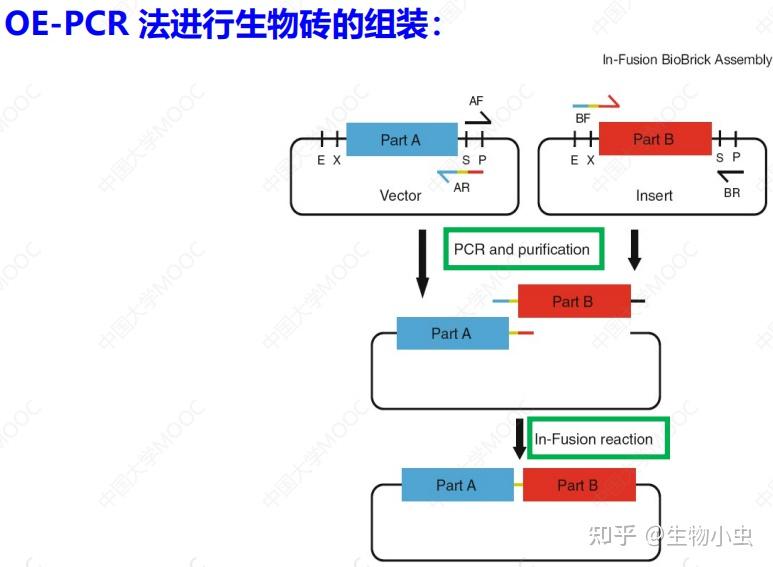 合成生物学 第五章 - 知乎