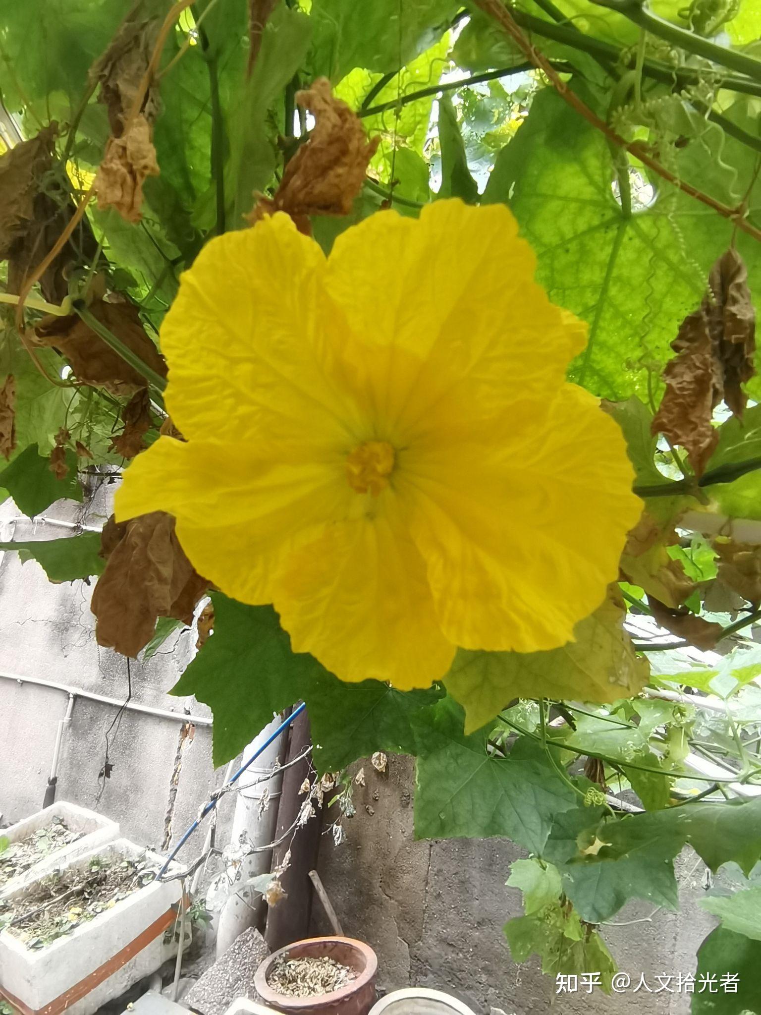 飞花诗意浓,含有"青"字的古诗词有哪些?