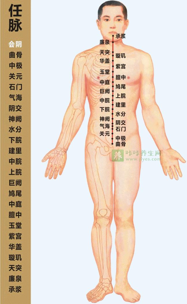 經絡是什麼