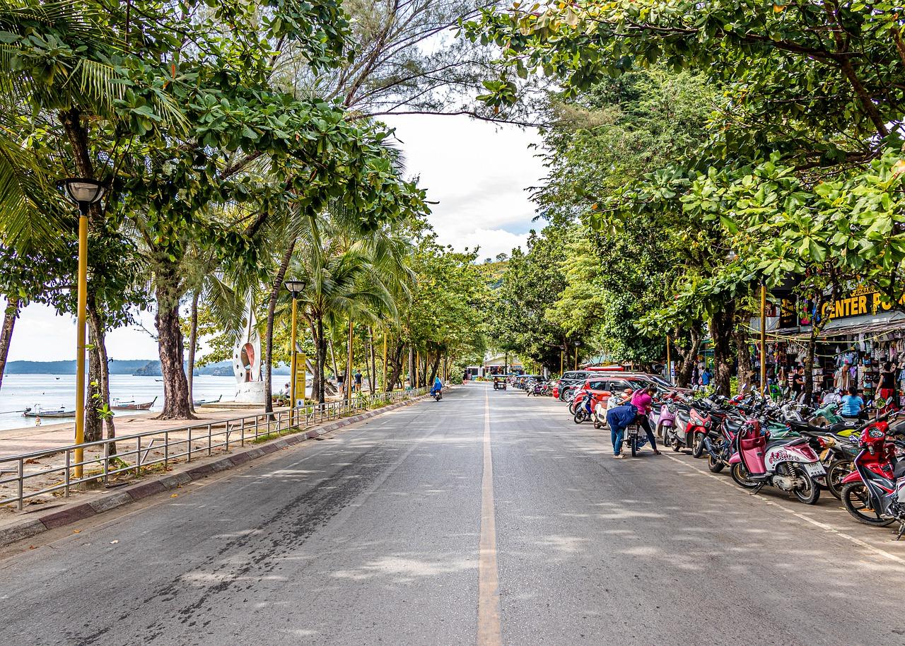 4. 绿化景观亮点