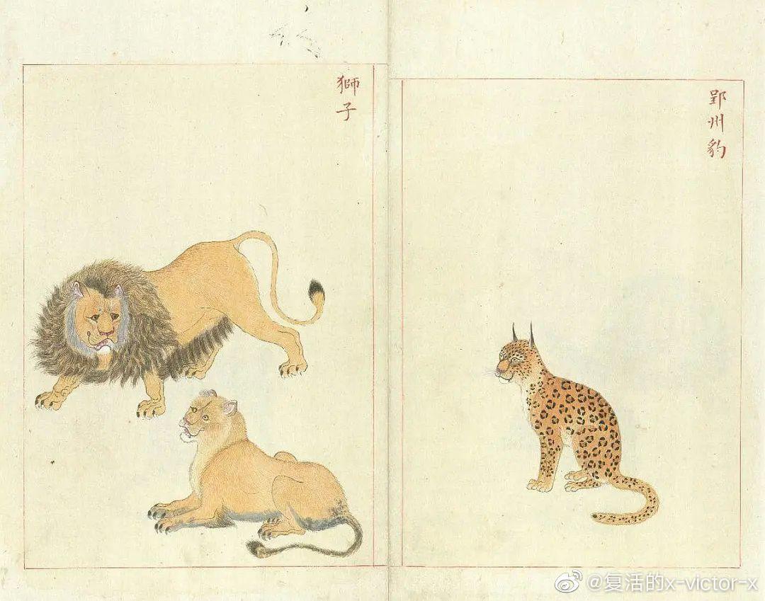 为什么浮世绘上的老虎长的和妖怪一样? - 知乎