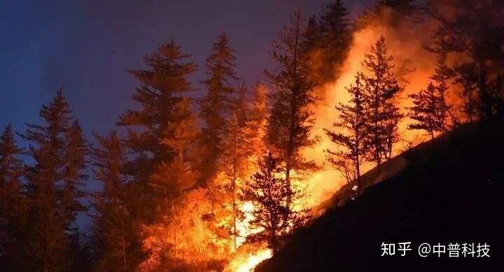 遭雷击黄山松树起火,及时扑灭消除火灾隐患 - 知乎
