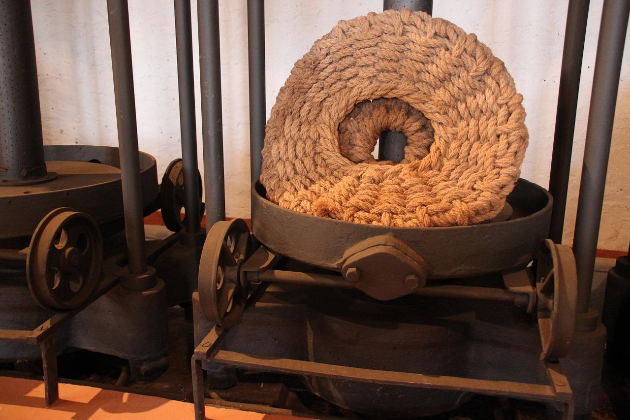 2. 太原橄榄季位置