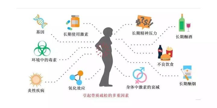 骨质疏松的病因及其对身体的危害