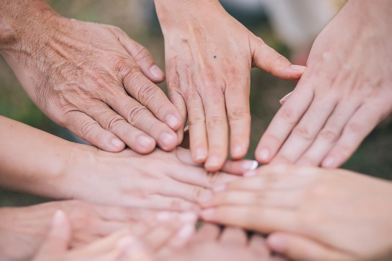 5. 投资潜力剖析