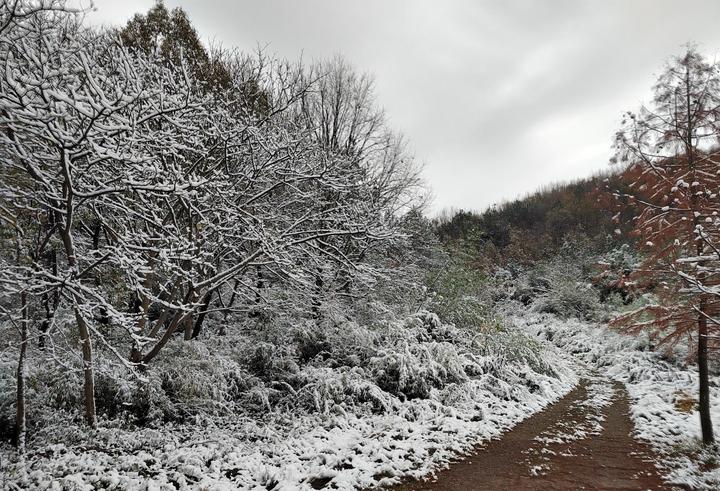 今年的初雪 - 知乎