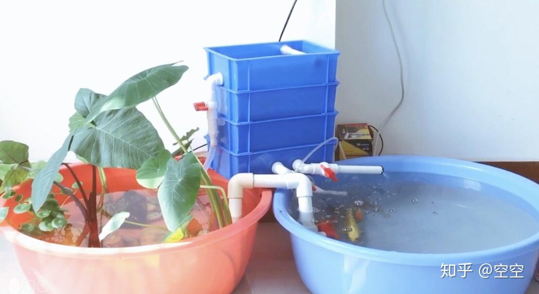水桶怎样做鱼缸过滤