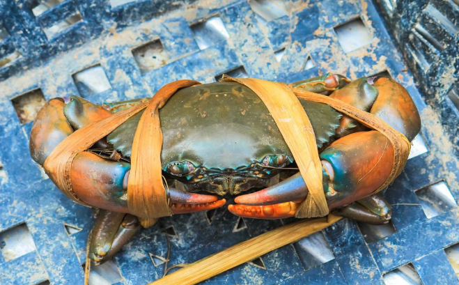 捆蝤蠓的草绳子值钱吗?—为什么说机关秘书,就像是这根草绳子?