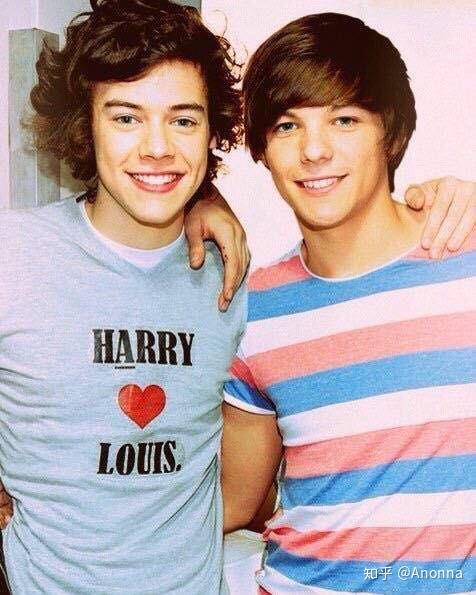 如何看待larrystylinsonharrystyles和louistomlinson关系