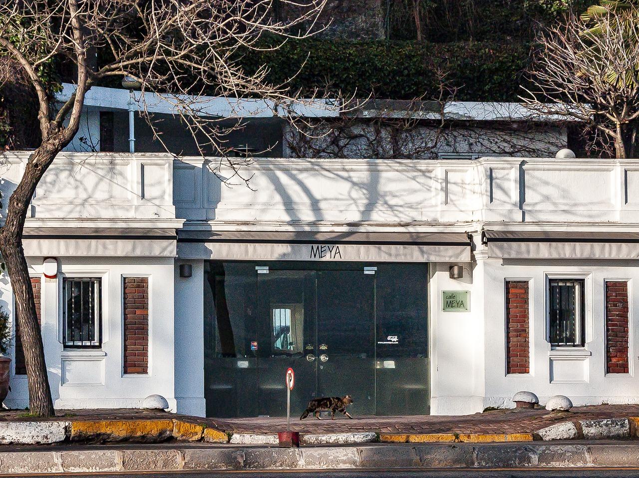 4. 玉溪酒吧集聚地