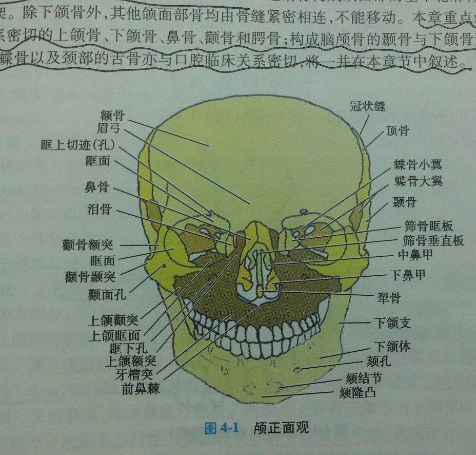 如何解释「上巴」这种语言现象? - 知乎