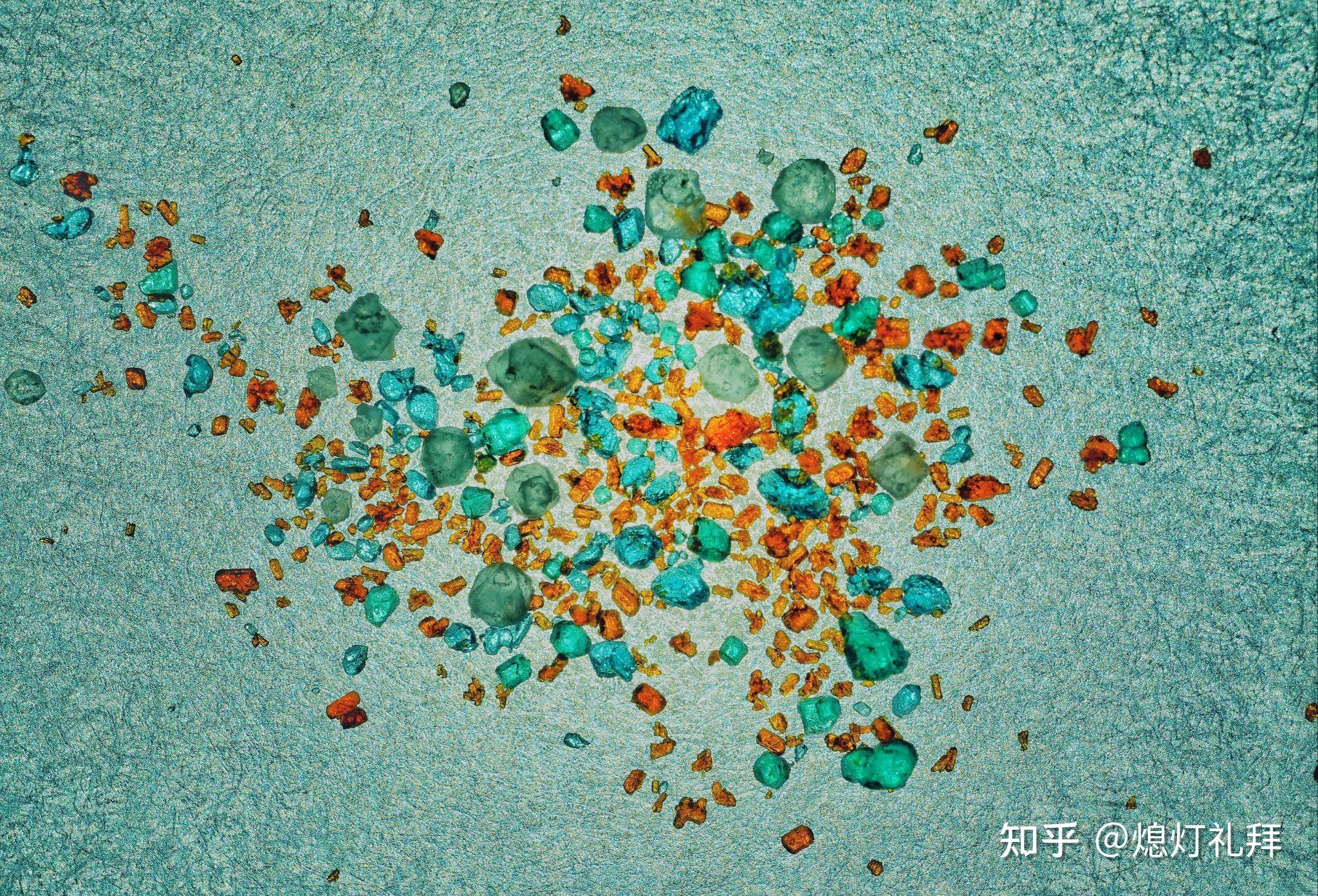 TAMRON收購鏡頭