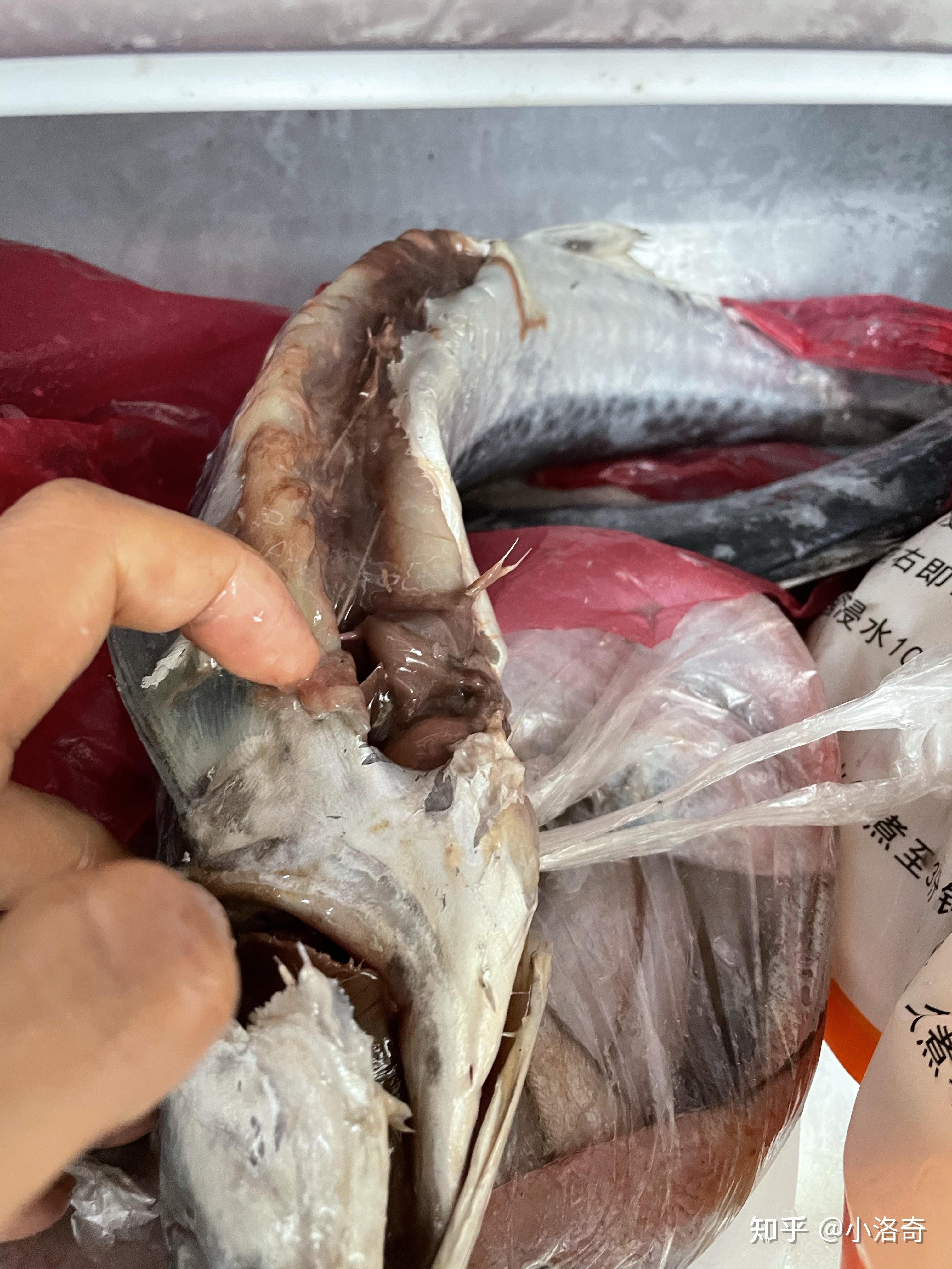 菜市场冰冻马鲛鱼