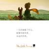 杨朵朵