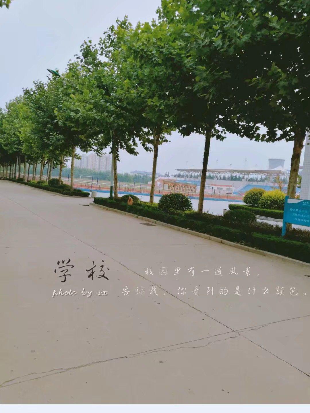 在安丘市青雲學府就讀是一種怎樣的體驗