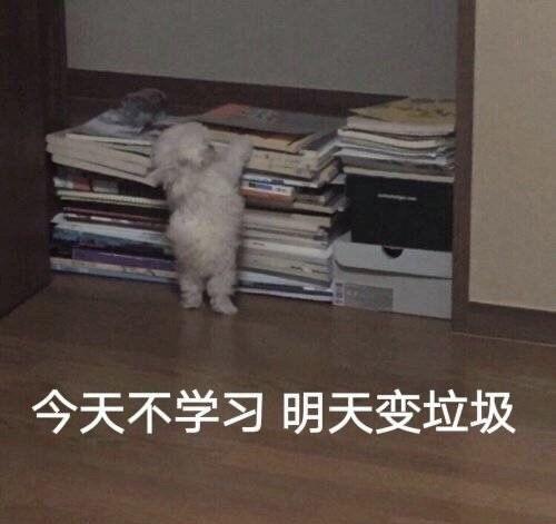 为什么很多女生get不到表情包? - 知乎