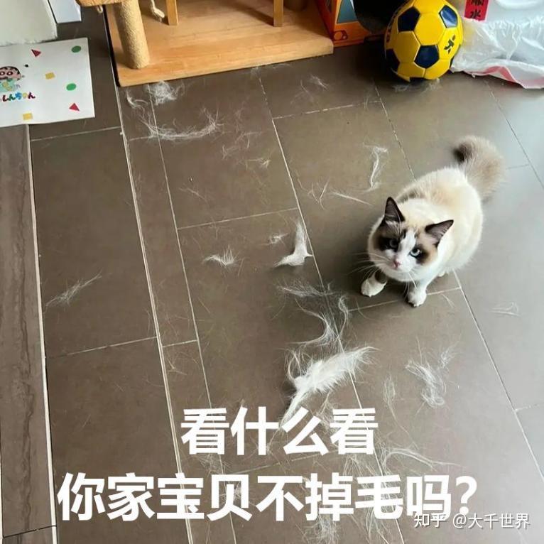 吸尘器推荐2026:吸尘器哪个牌子好?精细总结CEWEY、追觅、米家等十大知名吸尘器,吸尘哪个品牌好吸力大?大扫除用什么清洁工具?吸尘器保姆级选购干货告诉你如何避雷!看完闭眼选!
