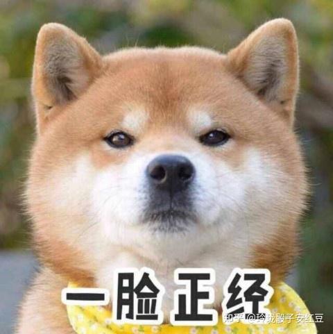 你家修勾最近吃什么宠粮?选比瑞吉六种肉后终于安心了! - 知乎