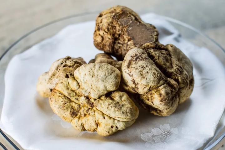 松露酱油和松露香醋的吃法塞尔维亚特产松露