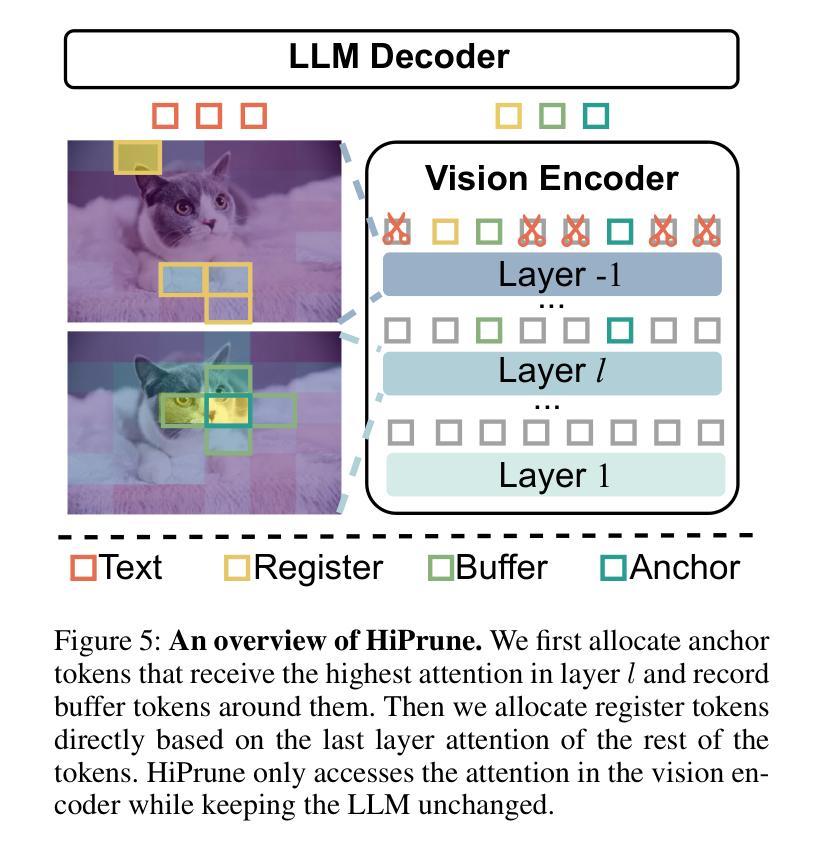 Vision Transformer