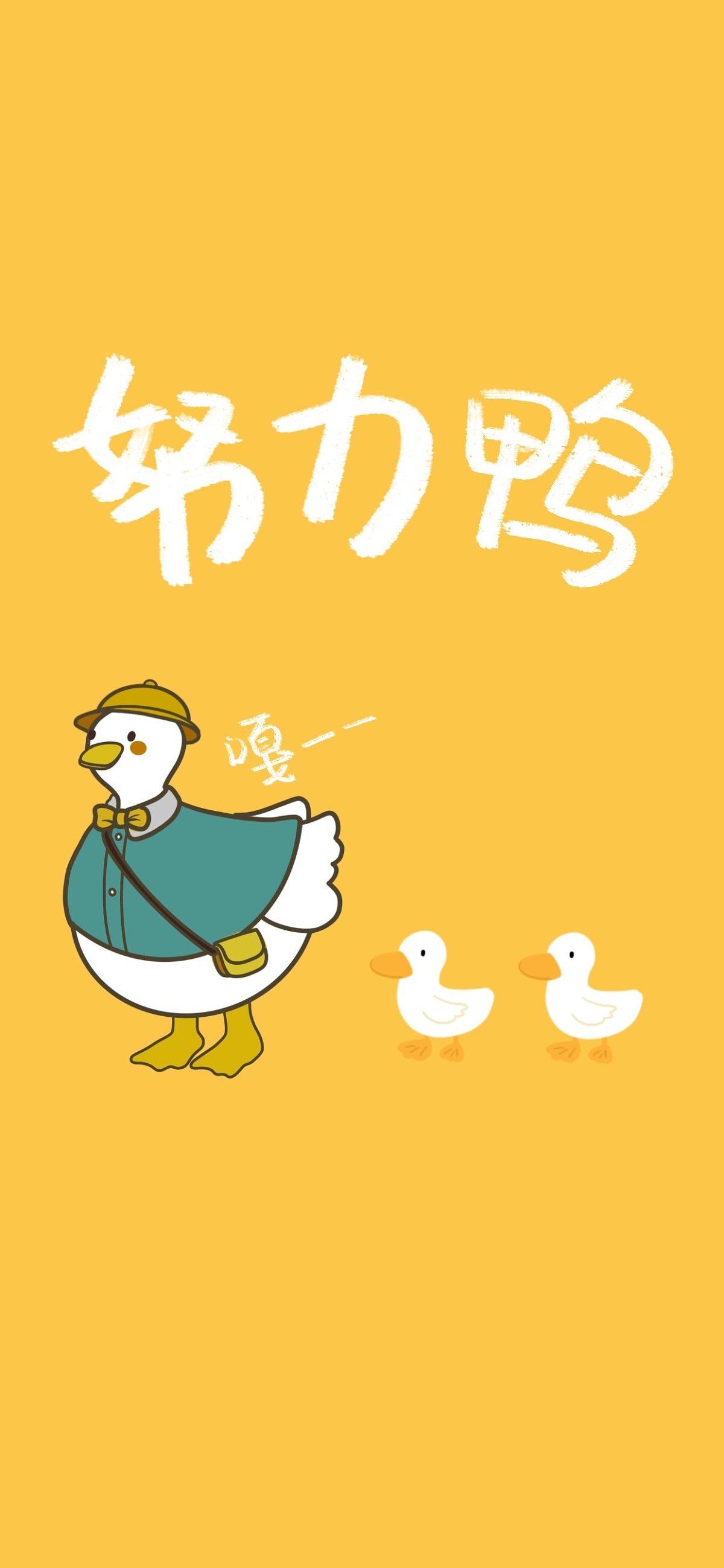 有哪些可爱又洋气的鸭子手机壁纸值得分享?