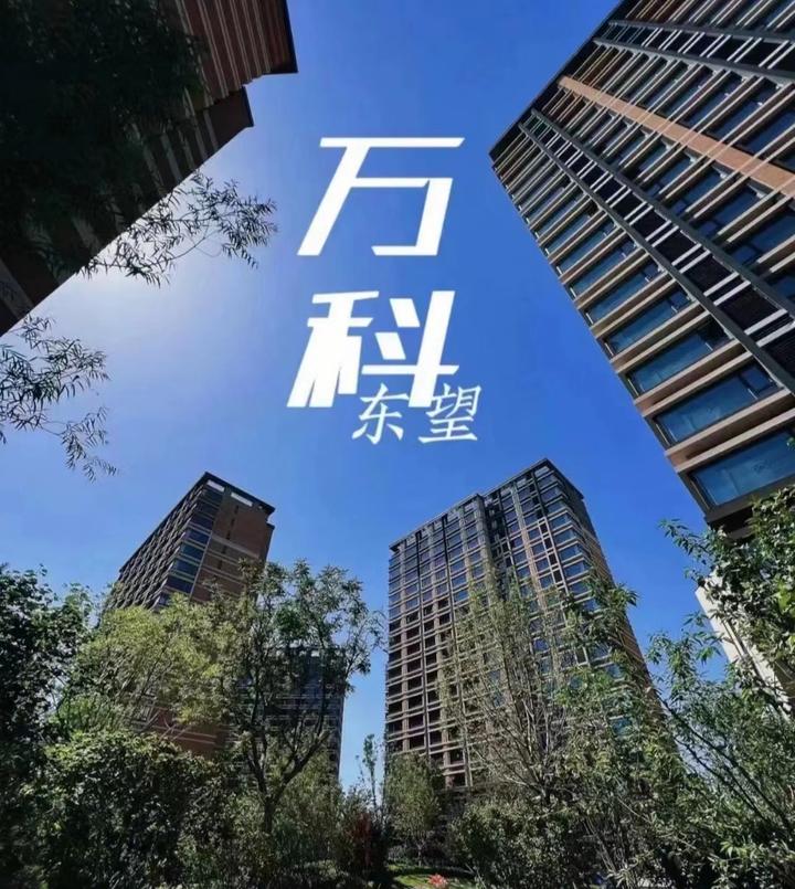 北京万科「城市之光·东望」8月15日最新踩房进度来了! - 知乎