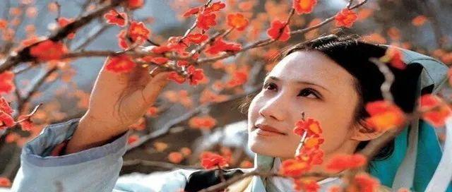 妙玉:自称槛外人,放不下的假行僧 - 知乎
