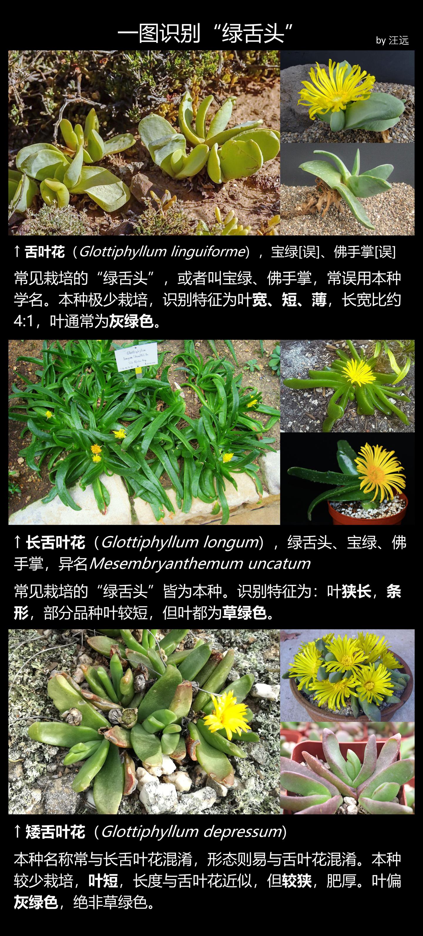一图识别“绿舌头” - 知乎