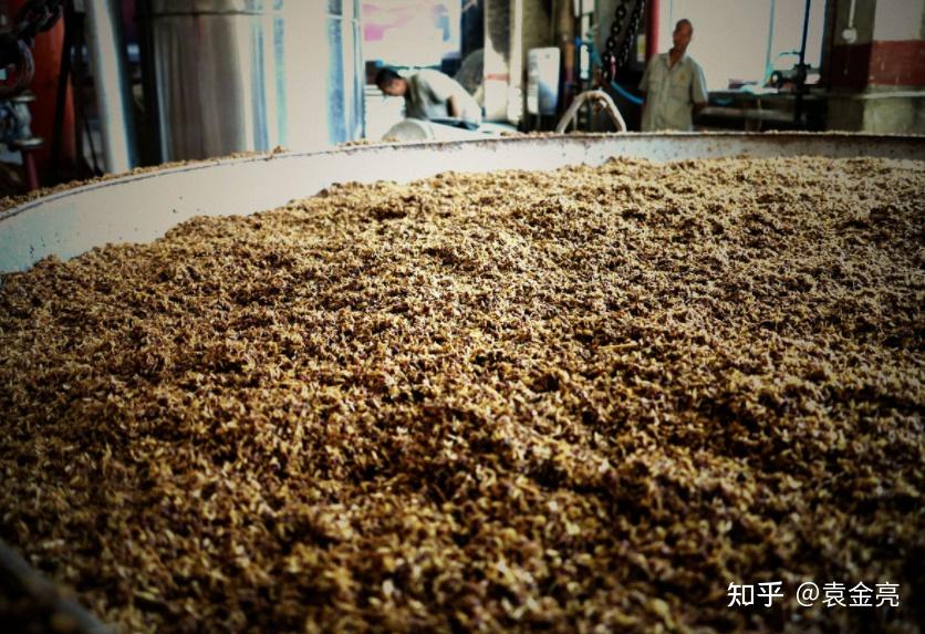 茅台酒糟都去哪了怎么处理的