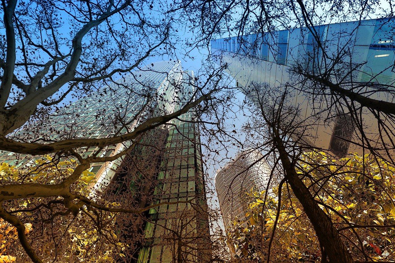 4. 试点区域概览