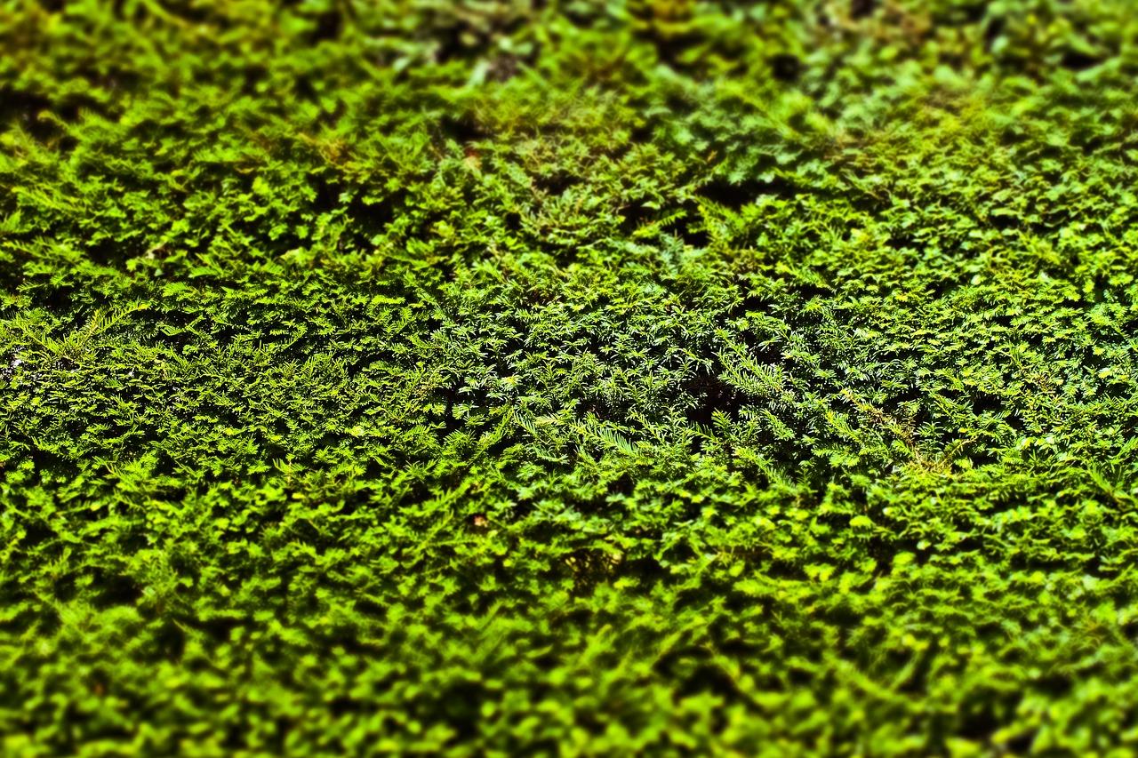 沙发对冲是什么样