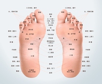 足部按摩 - 知乎