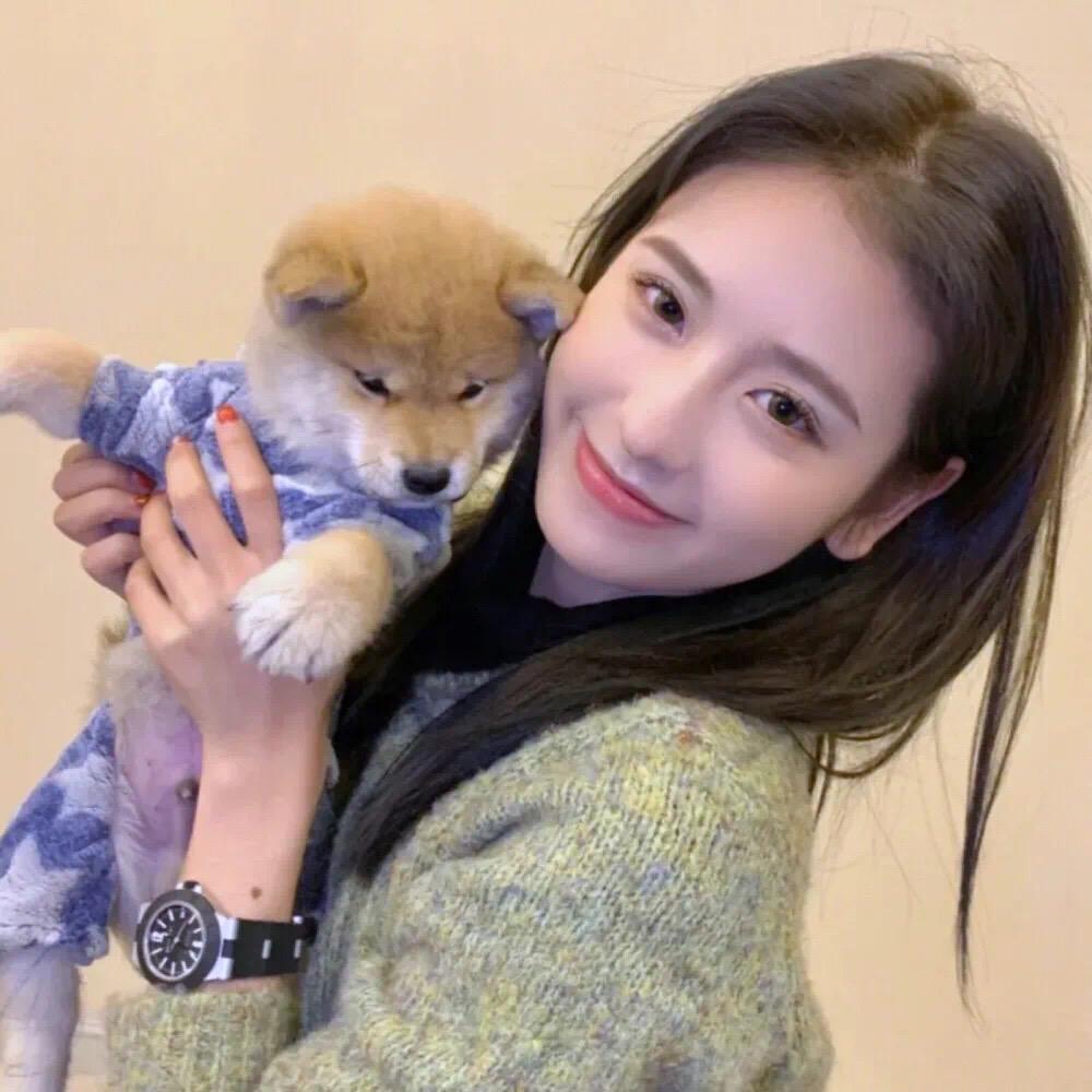 有没有女孩子抱着狗狗的头像,越多越好?