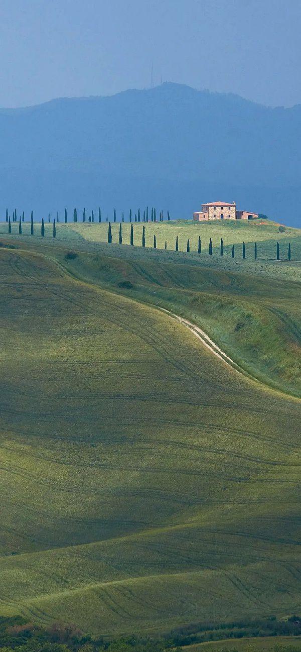 有哪些让你一眼万年的绿色系壁纸?(绿色壁纸大全图片清新自然)