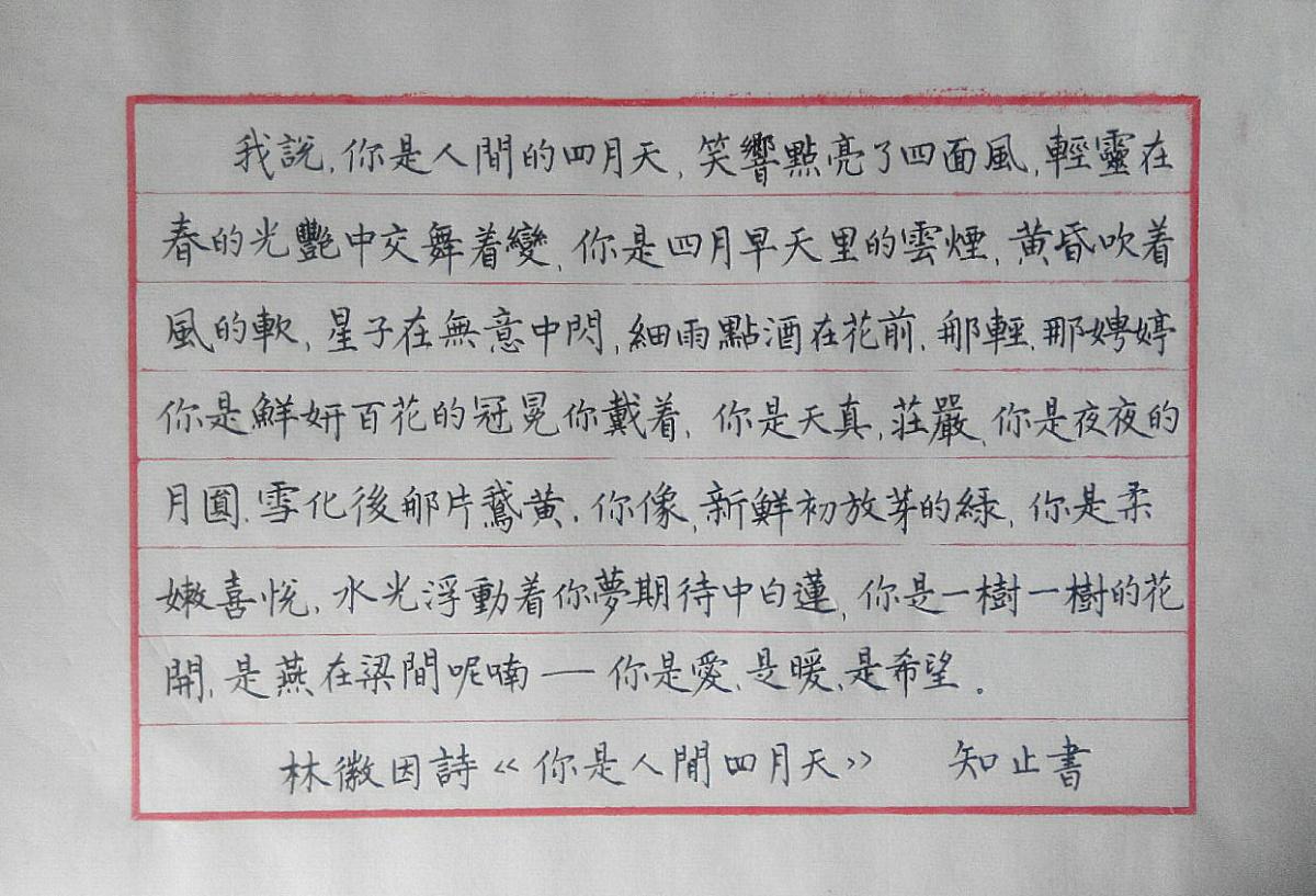 林徽因你是人间四月天钢笔字手写笔友钢笔书法习作欣赏