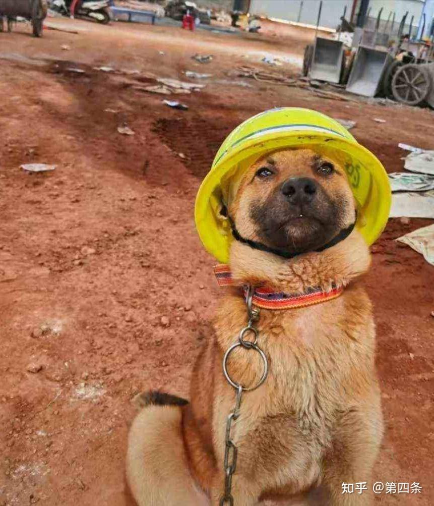 干土木工程的你是如何平衡工作和家庭的? - 知乎