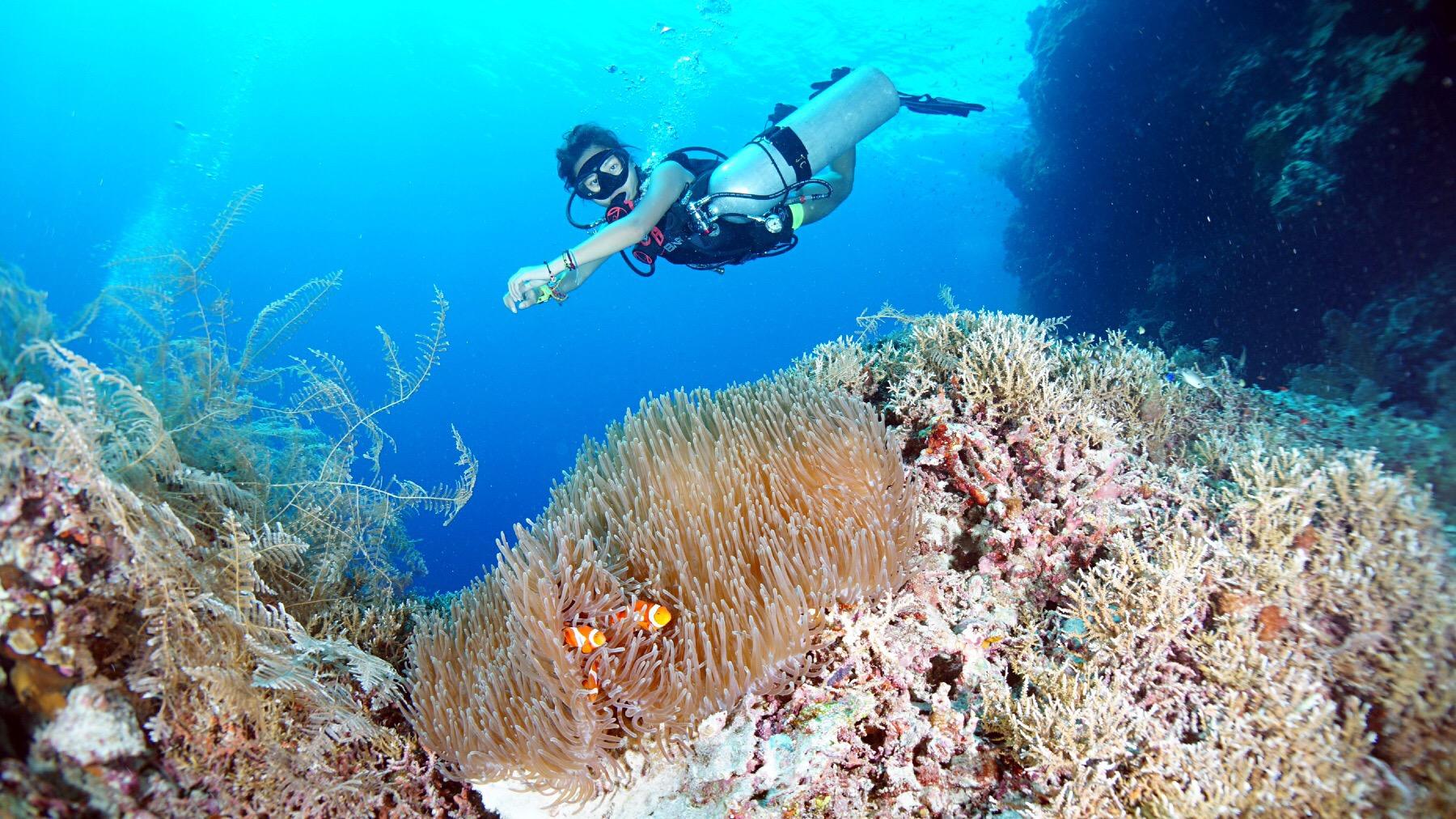 女性穿比基尼潜水需要注意什么? - 知乎