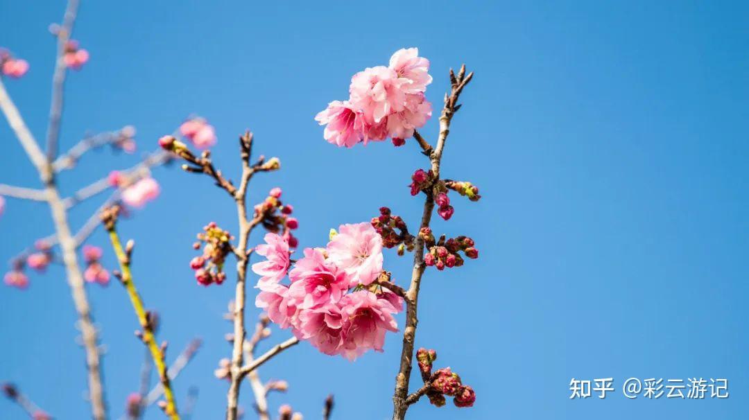 去云南大理,5 天行程,有哪些优质路线推荐?-去云南大理的攻略