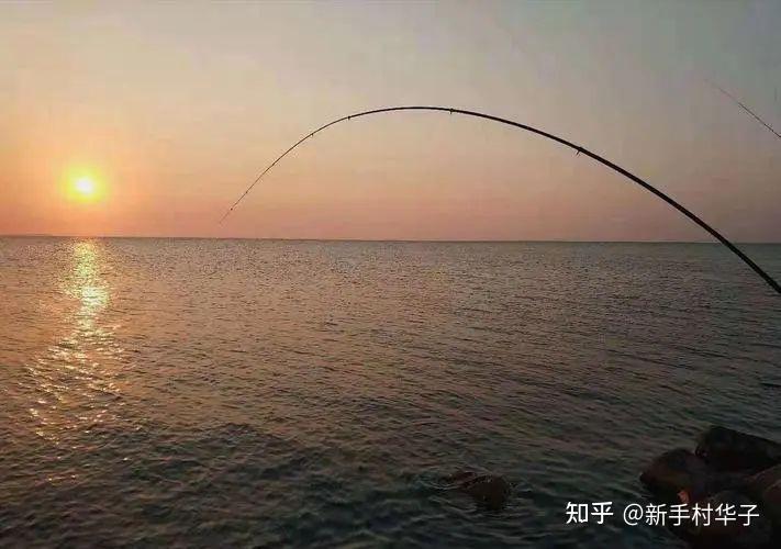 新手钓鱼入门:线组搭配全攻略 —— 成为钓鱼高手的第一步 - 知乎