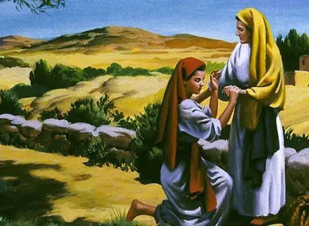 如何评价故事路得记