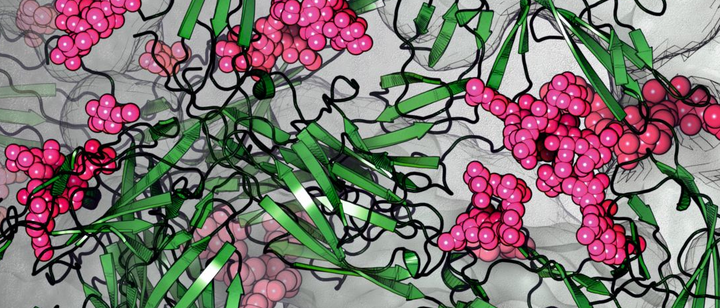 AlphaFold2 生成肽结构的基准测试 - 知乎