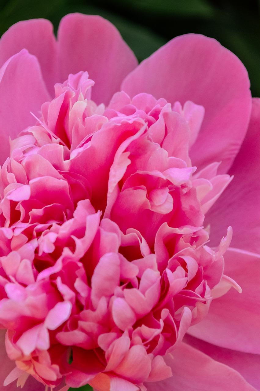 2. 清洁伤口处理