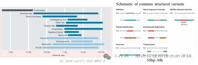 简单地聊一聊一代测序、二代测序、三代测序、四代测序 - 知乎