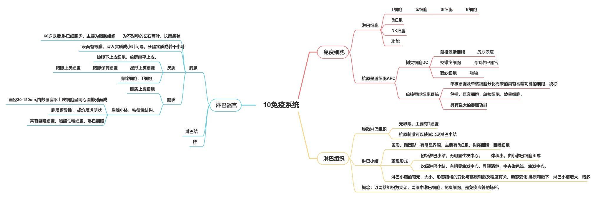 结缔组织思维导图高清图片