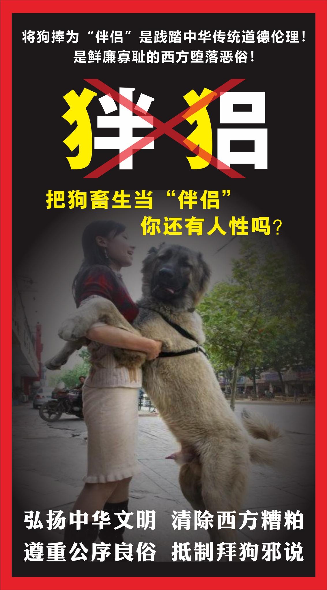 为什么爱狗士把狗害称为毛孩子,爱狗士把狗称为孩子不是在恶心人类吗?