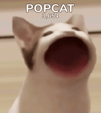 316_356gif 动态图 动图