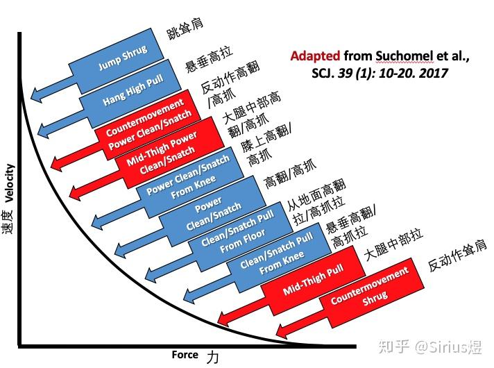 根据肌肉张力速度关系曲线说明怎样进行爆发力训练才算是合理的