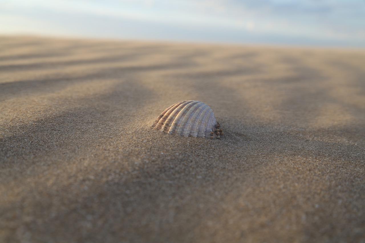 2. 高温亚克力特性