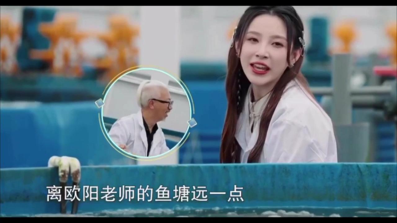 怎么看待央视记者王冰冰备受追捧的现象