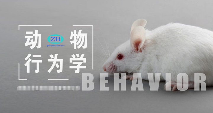 小梁讲实验:行为学实验室整体解决方案,一文看懂,不再发愁! - 知乎